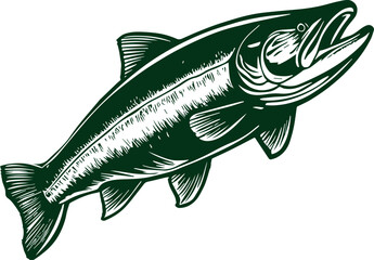 salmon jumping fishing river hand drawn vector line art illustration isolated
