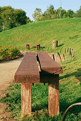 A park bench at P.L. Deshpande Japanese Garden, Pune, Maharashtra, India