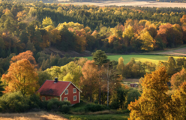 The Swedish countryside in autumn, a house in the distance, trees and green fields, a sunny day, and a warm, yellow light.