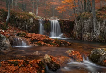Rideaux Cascades A serene autumn scene of a forest with fallen leaves, featuring small waterfalls and rocks in the foreground, surrounded by trees with orange foliage  © 수동 김