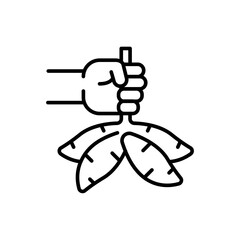 Cassava outline icons, minimalist vector illustration ,simple transparent graphic element .Isolated on white background