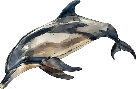 A dolphin is swimming in the ocean watercolor illustration