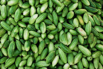 Gherkins arranged for sale at Market Yard, Pune, Maharashtra, India. Gherkin (Cucumis Sativus L.Family : Cucurbitaceae) is popularly known as pickling cucumber 