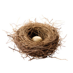 Bird's Nest With Single Egg On Isolated Background. Nature And Wildlife