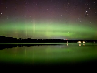 Nature at its Finest