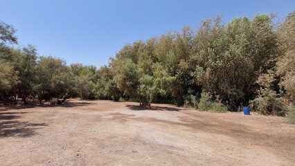 path in the park