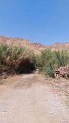 mountain in the desert