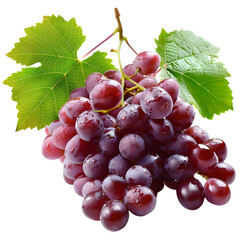 Fototapeta premium bunch of red grapes isolated on white