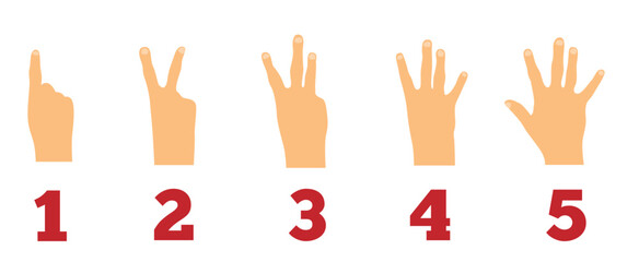 Hand Fingers Counting to Five. Human hand count to five vector