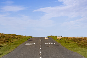 Idylle Dartmoor National Park