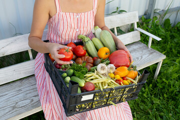 Tomatoes, zucchini, cucumbers, beans, berries in the basket from her own garden.