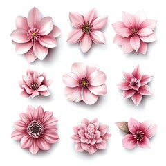 A stunning collection of pink flowers displaying diverse shapes and textures, perfect for botanical designs and nature-inspired projects.