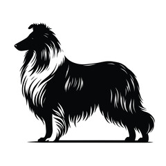 Silhouette of a Collie Dog