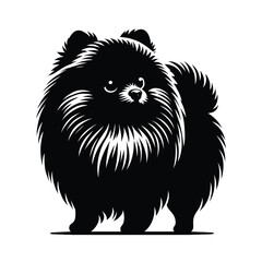 Obraz premium Silhouette of a Pomeranian Dog
