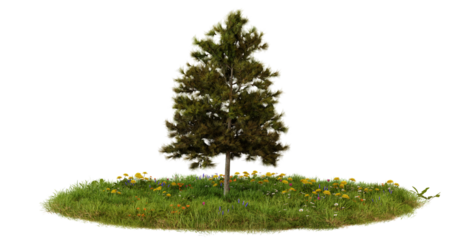 Single tree on a small grassy island with yellow wildflowers