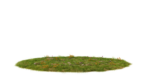 Green Grass Patch Isolated on transparent Background