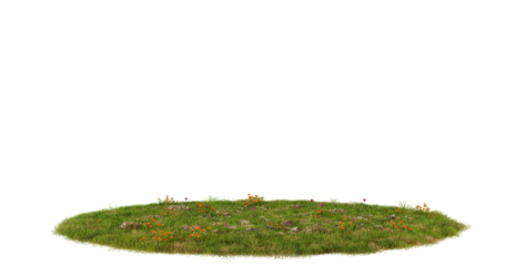 Green Grass Patch Isolated on transparent Background