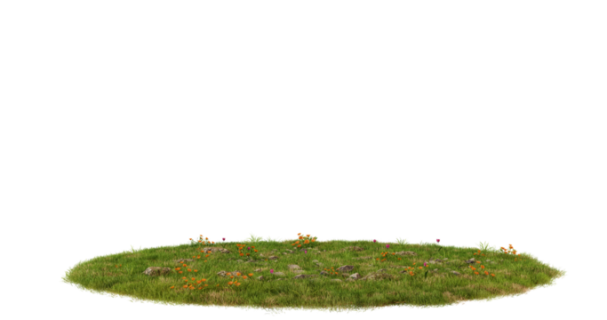 Green Grass Patch Isolated on transparent Background