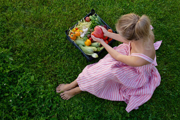 On the green grass there is a black plastic basket with fresh vegetables from the garden. View from above