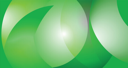 green and white vector background