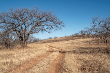 A winding dirt road through a grassy field. This photo shows a path leading towards the horizon, perfect for illustrating a journey or the path forward.
