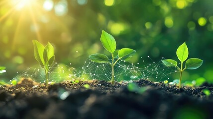 The imagery conveys the idea that innovation in the financial sector is the seed for growth, fostering a healthier and more sustainable financial ecosystem, Financial innovations enable 