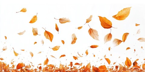 Obraz premium Leaves falling in the air leaf blossom flower.