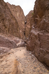 Wadi El Veshwash canyon in Sinai Peninsula