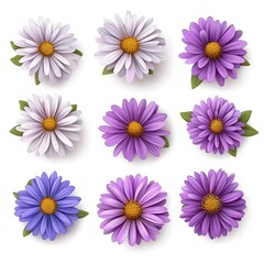 A vibrant collection of daisies in purple and white hues, showcasing nature's beauty and colorful floral arrangements.