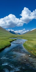 Fototapeta premium A river runs through a grassy valley with mountains in the background. The sky is cloudy, but the sun is still shining through. The scene is peaceful and serene, with the water flowing gently