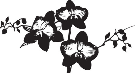black and white flowers3