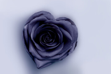 Open Rose in Heart Shape in Color of the year 2025 future dusk on White, close up. Stabilized Flowers in Fashionable Trendy Color Shades, Flower pattern © Tatiana