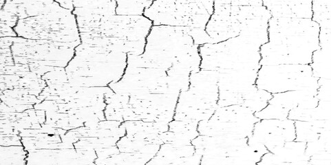 Obraz premium Abstract white background black and white dusty wall texture with scratches and cracks . gray concreate surface plaster old rough dirty wall texture, white marble texture, grunge texture.