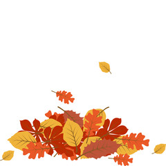 Pile of Autumn Leaves
