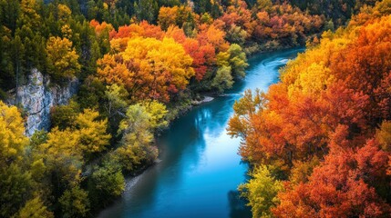 Obraz premium A scenic river winding through vibrant autumn foliage.