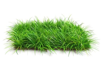 Fototapeta premium A small section of lush green grass on a clean white surface, ideal for use in still life or minimalist compositions