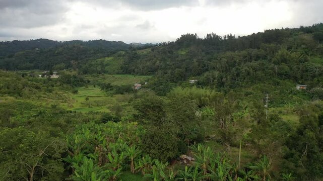 Aerial footage of a mountainside cultivated farmland on a cloudy day in Adjuntas town, Puerto Rico