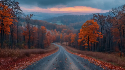 Fototapeta premium Beautiful highway in autumn with lots of colorful trees and autumnal mood, magical road driving through the forests