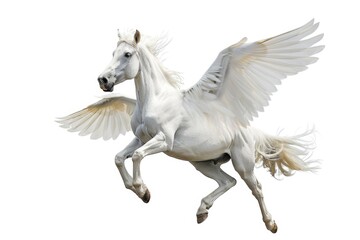 A majestic white horse spreads its wings, defying gravity in mid-air