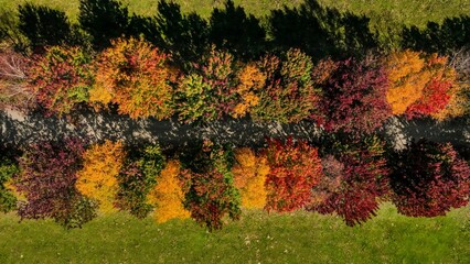 View of Autumn leaves creating a spectacular colour scene in Bright, Victoria, Australia
