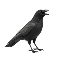 Fototapeta premium Realistic illustration of a black raven standing and calling out, isolated on a white background