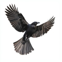 Naklejka premium Flying coal in midair, isolated on transparent PNG.