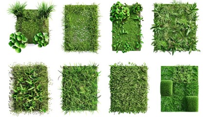 A collection of four different types of grass, great for illustration or decoration