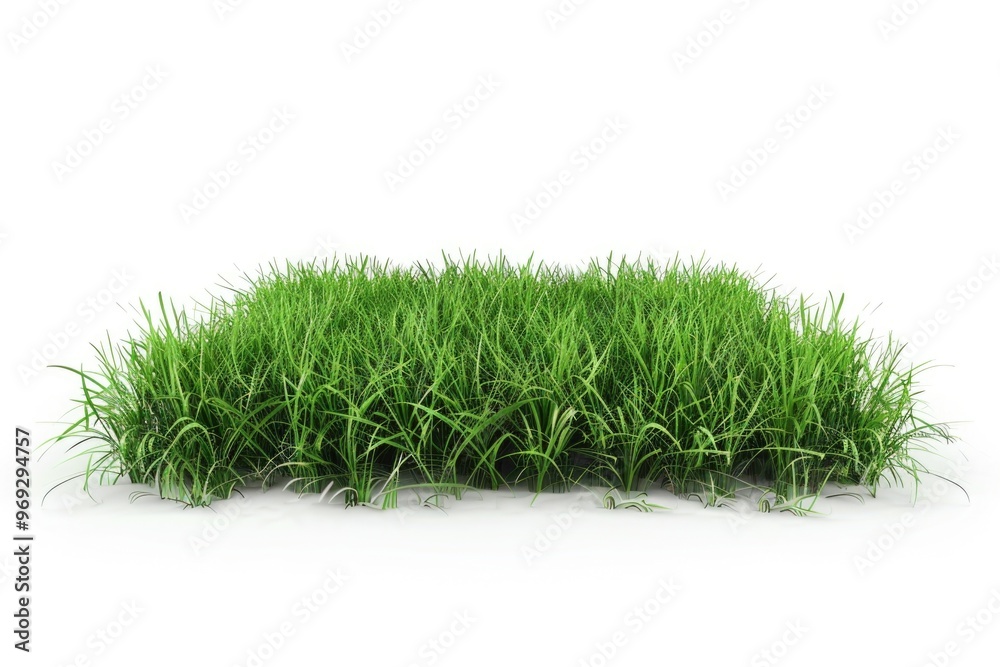 Poster a small patch of green grass on a white surface