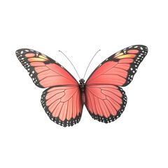 Close-up of a vibrant orange butterfly with detailed wings and black accents, isolated on a white background.