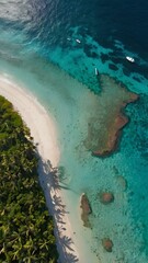 Aerial View of a Pristine Caribbean Coastline with Crystal Clear Turquoise Waters, White Sandy Beach, and Lush Greenery – iPhone Wallpaper