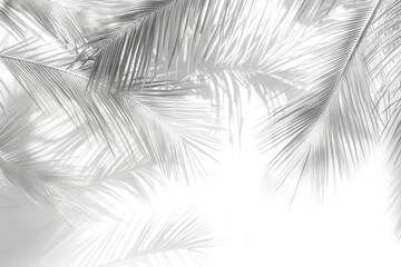 Obraz premium The shadow of a palm leaf, a tropical leaf background