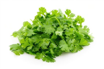 Obraz premium A pile of green leaves on a white surface, great for nature or autumn-themed designs