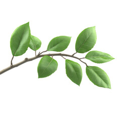 Fototapeta premium A single branch with vibrant green leaves, isolated on a white background, showcasing the beauty of nature and perfect for botanical designs or nature themes.