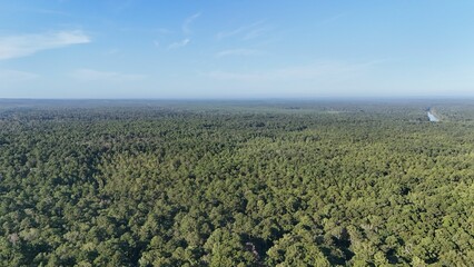 Aerial view of green forest landscape under blue sky